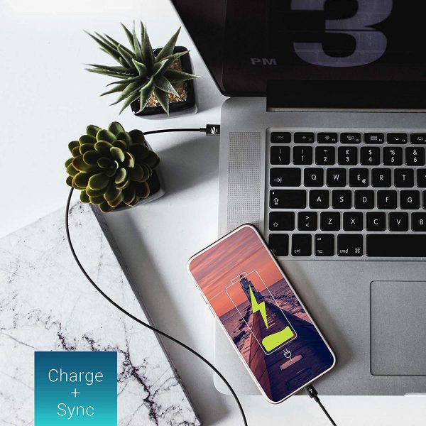 ZEBRONICS UCC 100 USB TYPE C CABLE - Image 4
